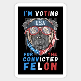 I'm Voting For The Convicted Felon Magnet